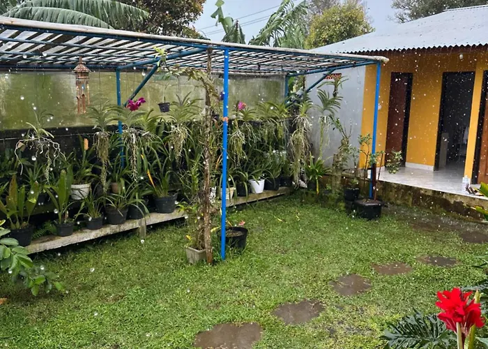 Wanahouse Bali Wanagiri Ferienhaus