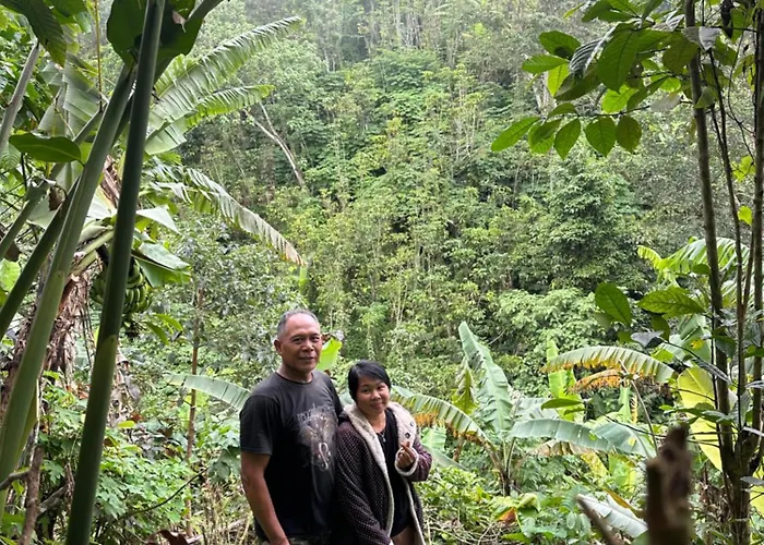 Wanahouse Bali Wanagiri Gitgit